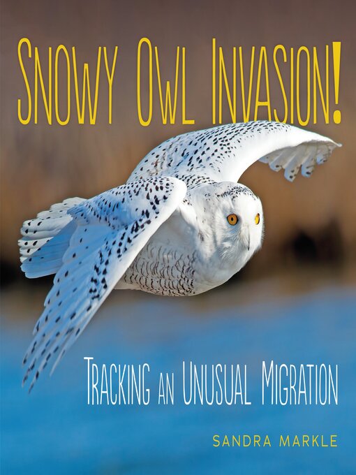 Title details for Snowy Owl Invasion! by Sandra Markle - Available